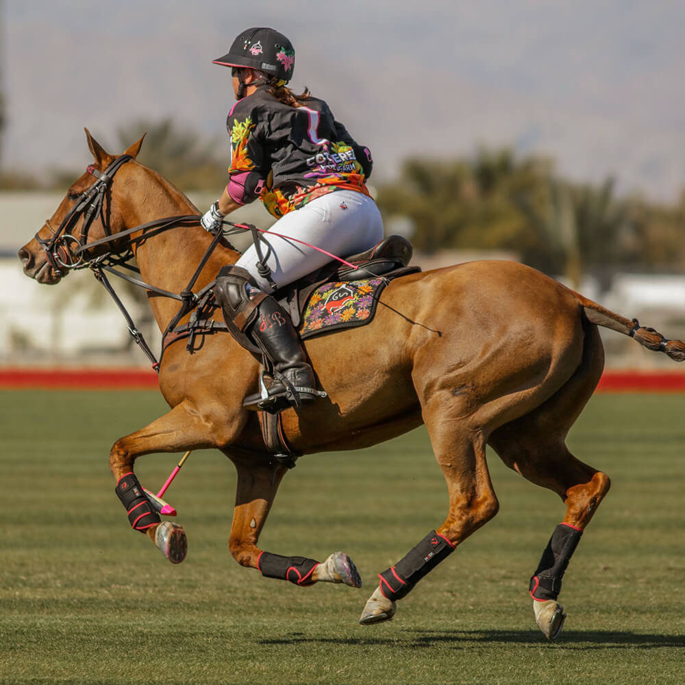 Polo horse clearance riding