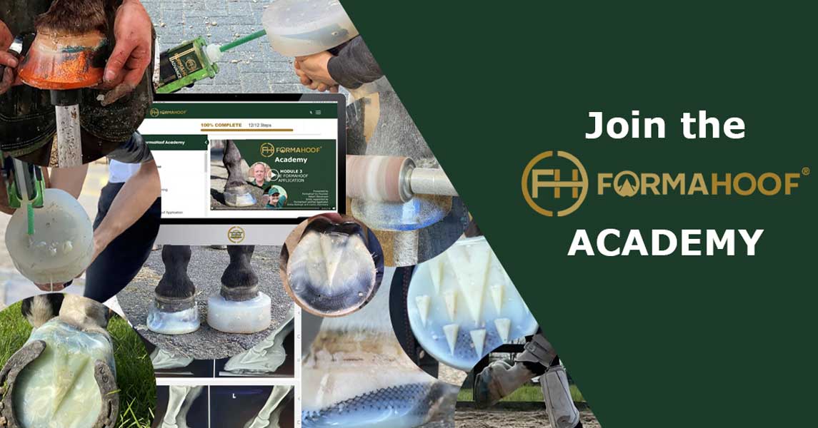 Online Horse Hoof Care Course Including Nutrition & More