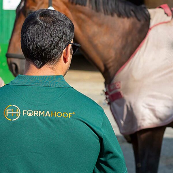 Horse Hoof Trimming Beginners Guide