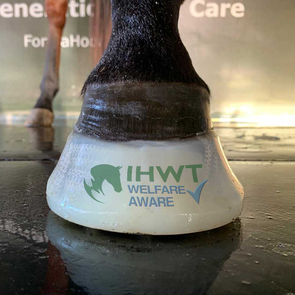 Irish Horse Welfare Trust