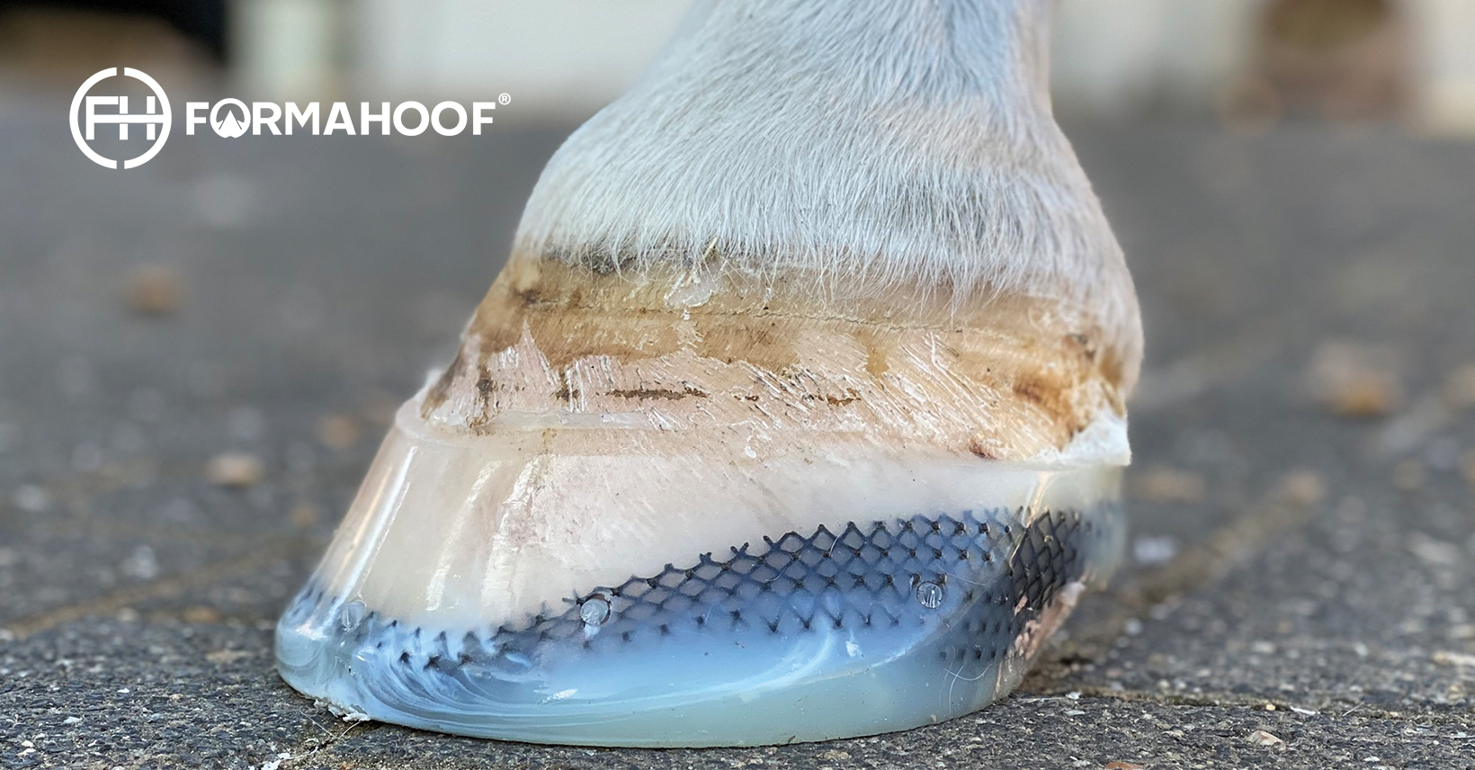 Laminitis In Horses NonInvasive, Supportive Treatment