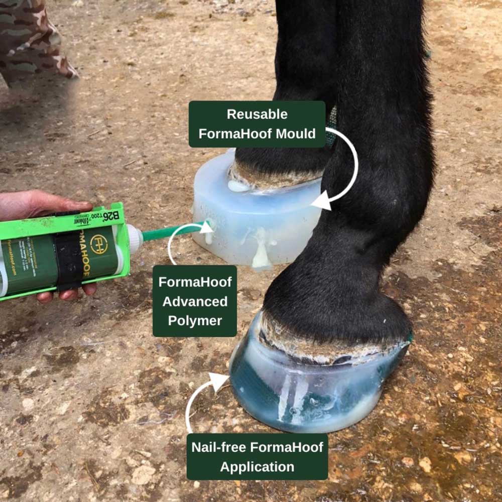 FormaHoof Traction Horse Hoof Mould For Extra Grip