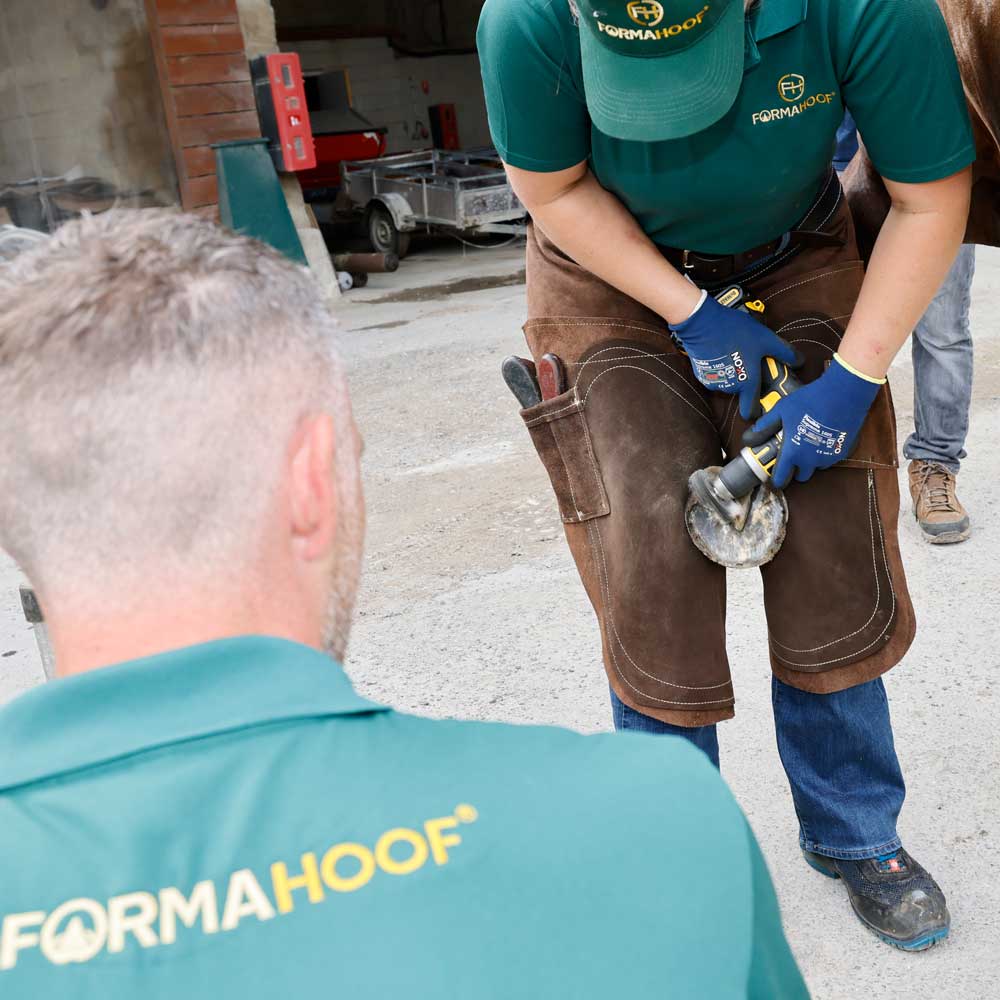Horse Hoof Rehab Tool