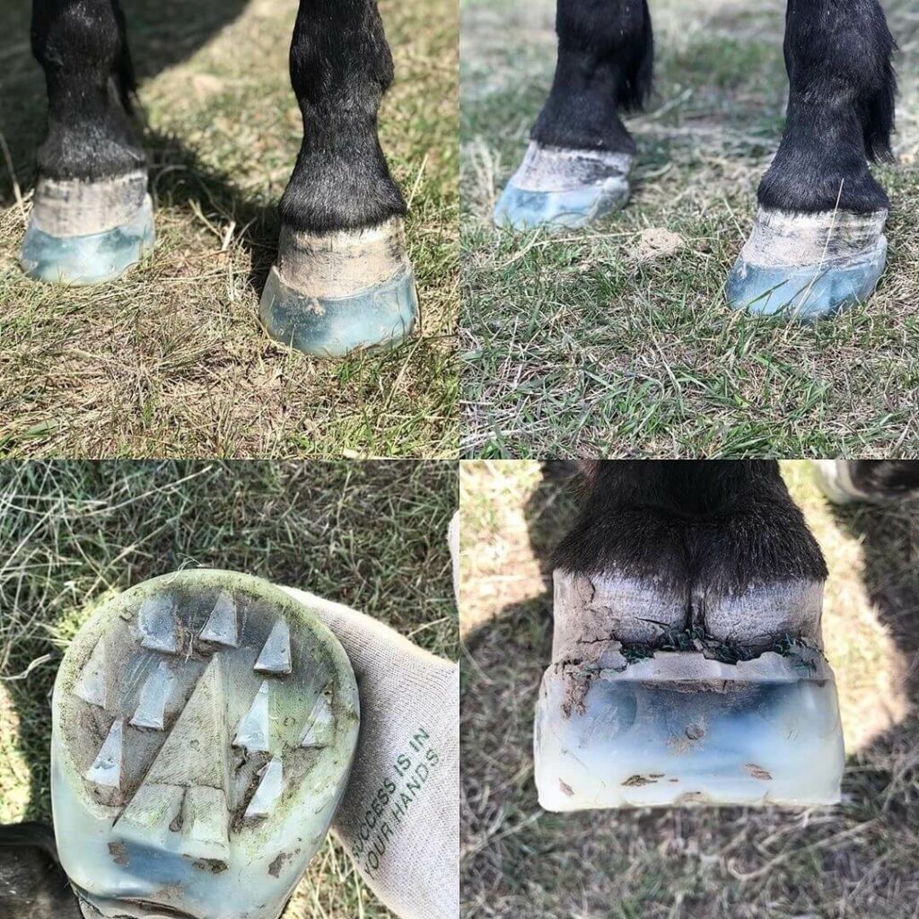 Navicular Disease Treatment for Horses with FormaHoof