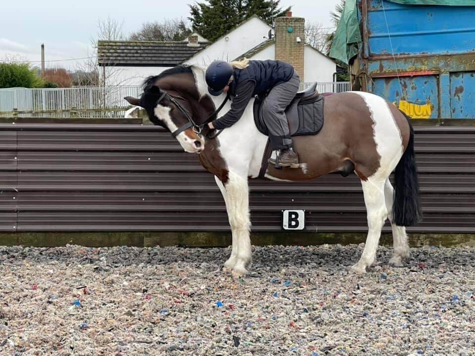 boots for horses with laminitis