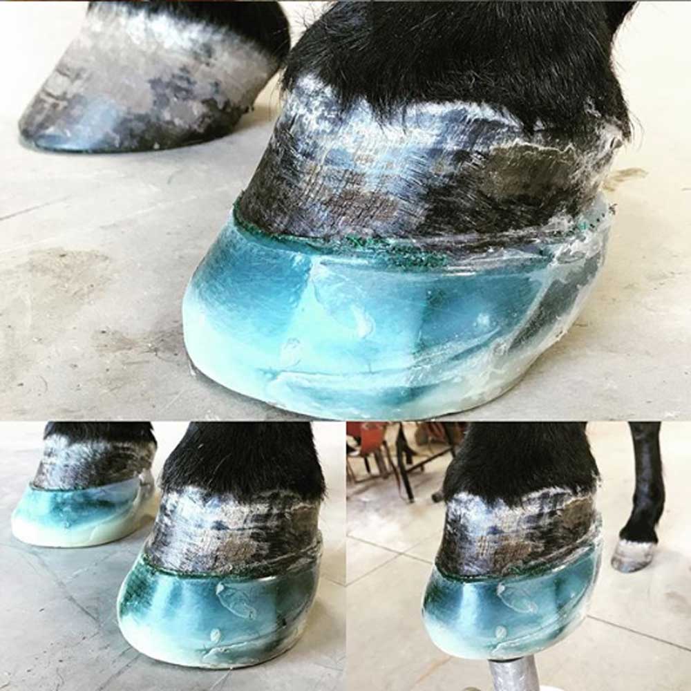 Navicular Disease Treatment for Horses with FormaHoof