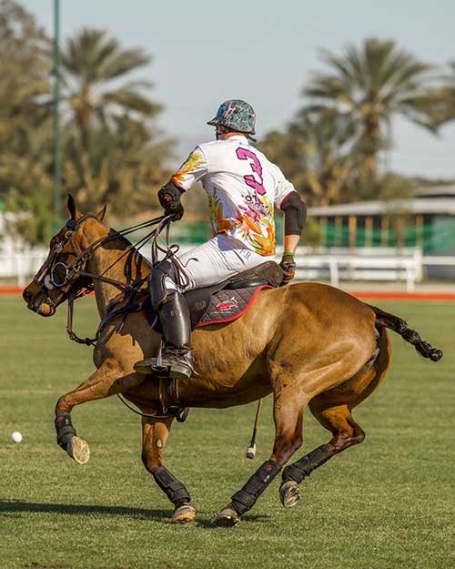 Barefoot Horse Competition Polo