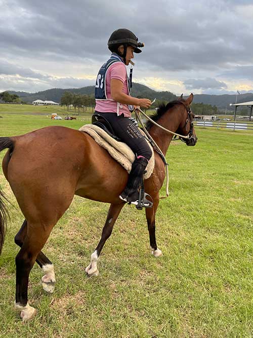Help horse transition to barefoot