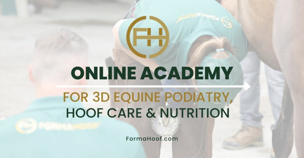 Horse Hoof Care Courses