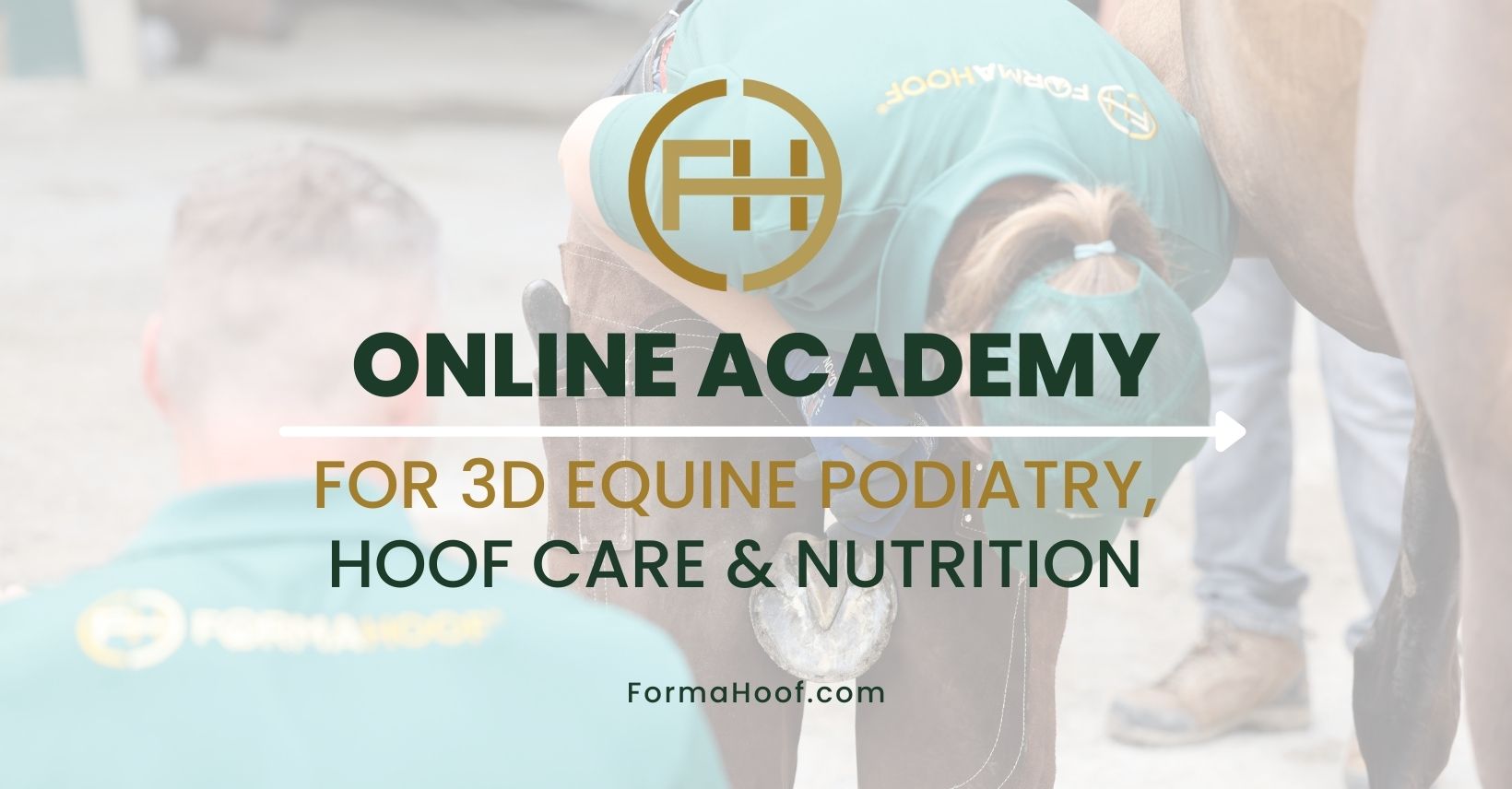 Equine Nutrition & Hoof Care Courses FormaHoof Academy