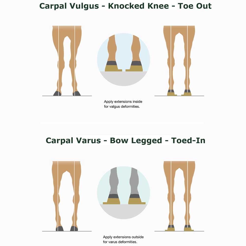 Foal limb correction diagram