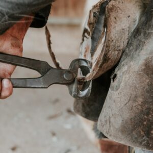 Horse Hoof Trimming