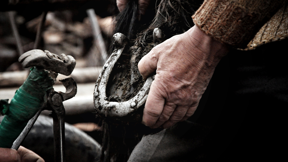 Winter horse hoof care with FormaHoof