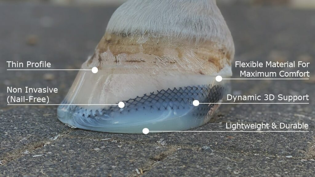 Eradicate White Line Disease with Expert FormaHoof Care!