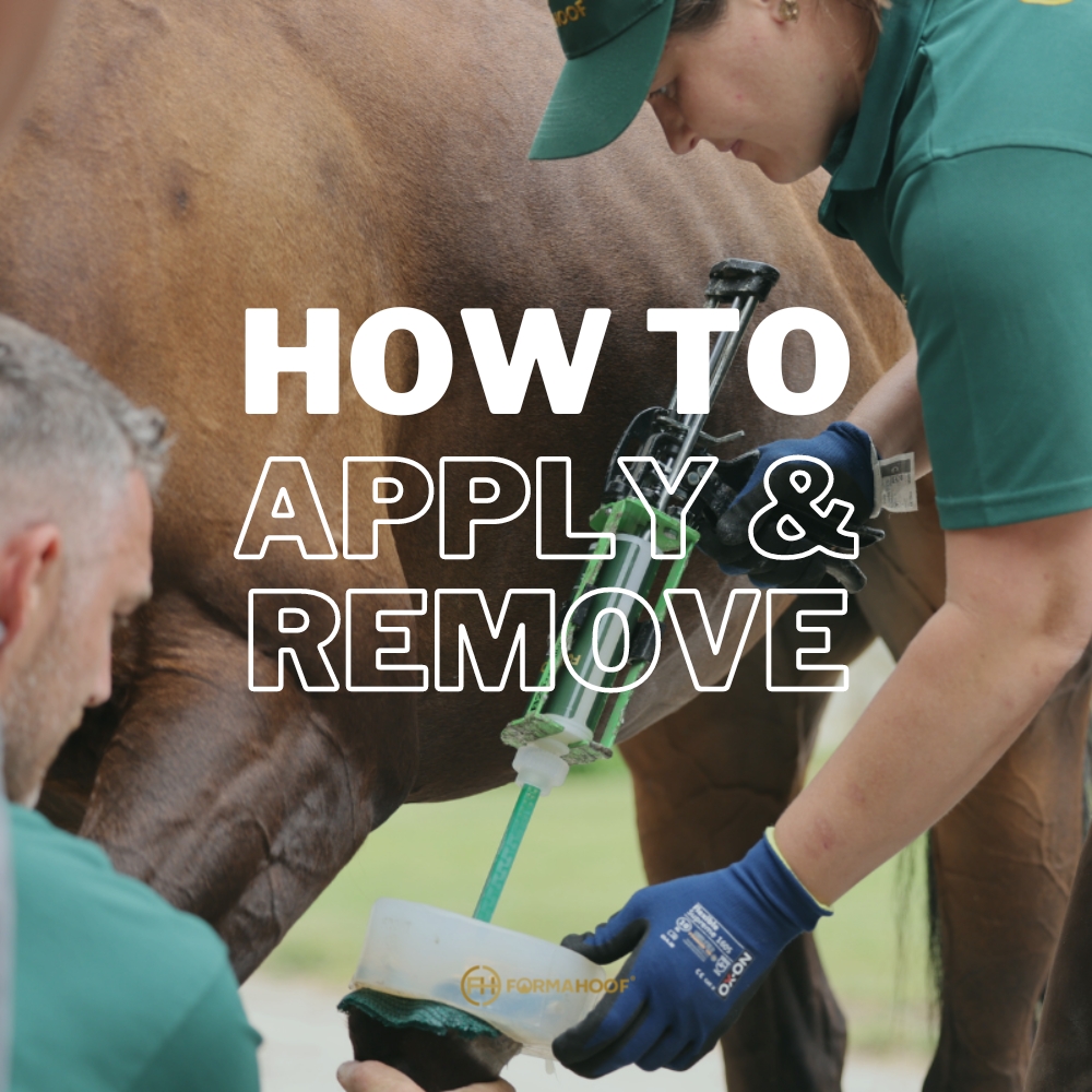How to apply and remove FormaHoof