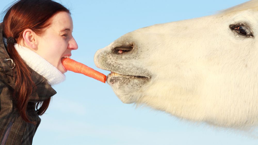 are carrots bad for horses