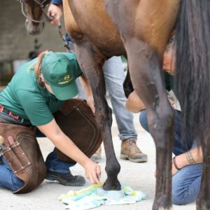 FormaHoof Application Checklist
