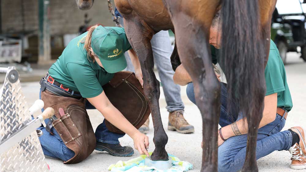 Horse Hoof Application Checklist