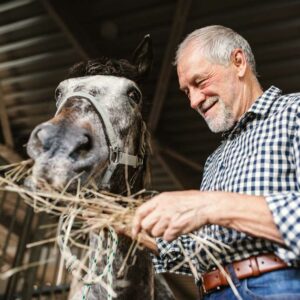 An elderly man feeding his senior horse, showing the love and dedication required for proper care in older age