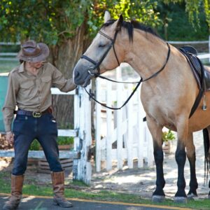 Leading Horse