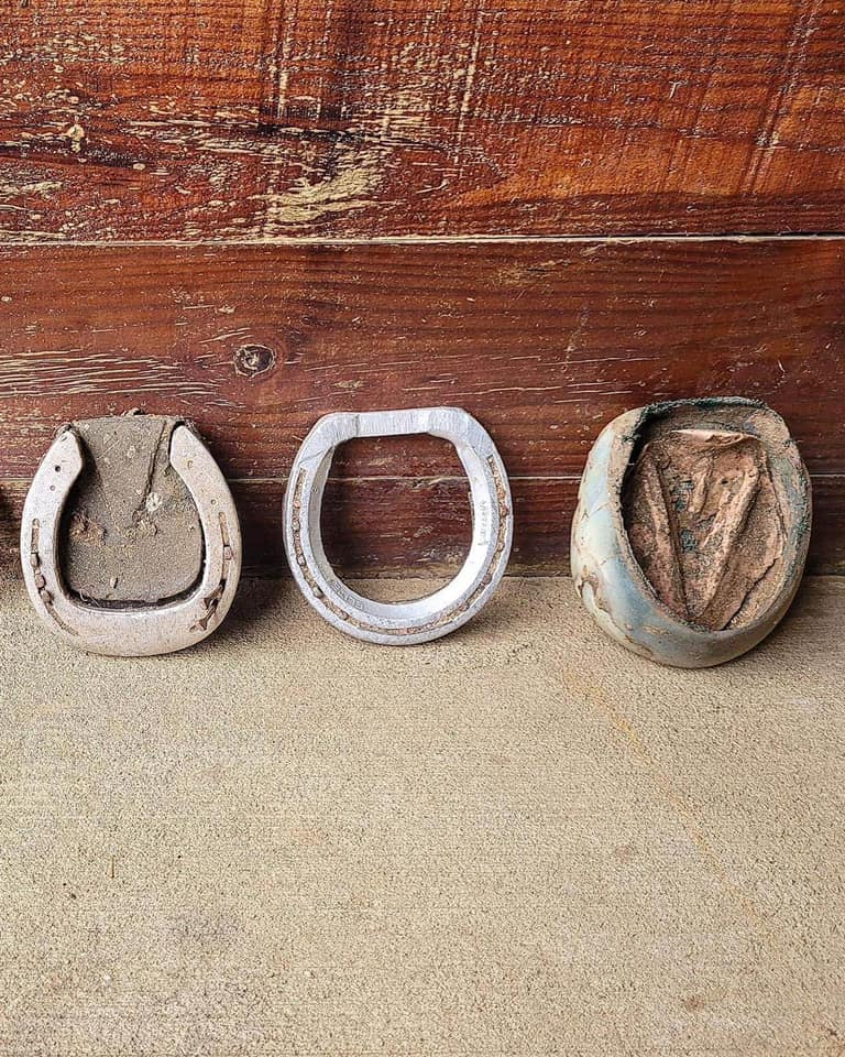 Used FormaHoof