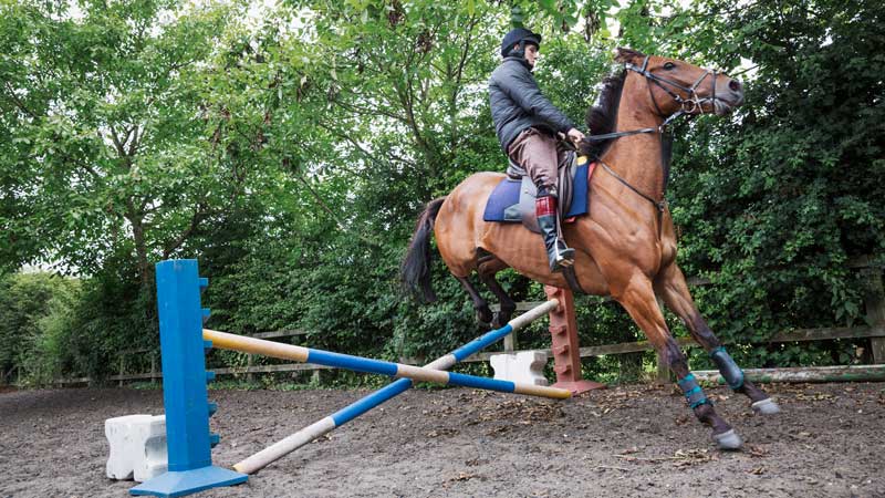 Hoof Shock Absorption Jumping